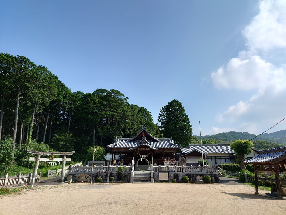 �܂ʂ��̗�-�S���P���Ă̐�