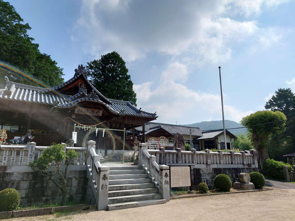 �܂ʂ��̗�-���̓���������